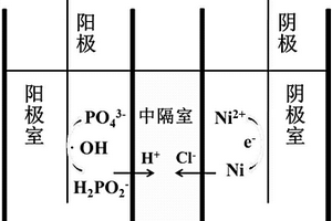 从化学镀镍废水中回收重金属镍的方法