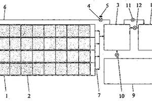 高浓度氨废水水培陆生草类植物净化方法及净化系统