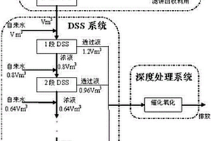 染料盐析废水的处理系统