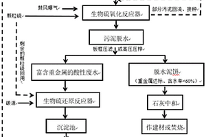 基于生物硫循环实现废水污泥中重金属去除与回收的处理方法