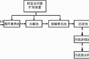 含盐有机废水生化处理装置及工艺