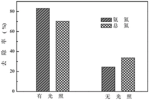 基于光电催化-自养生物膜的废水脱氮处理方法