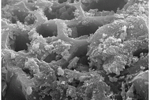 Fe/硅酸盐修饰多孔炭及其在废水污染物吸附的应用
