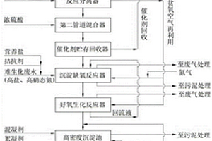 高硫废碱液和高盐高硝态氮难生化废水的处理装置及方法