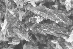 银和石墨烯共修饰TiO2纳米线的制备方法与光催化降解废水中污染物的作用