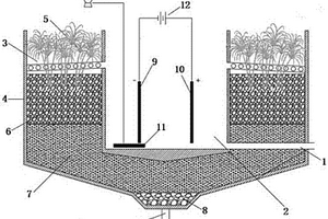 结合电Fenton技术与人工湿地的有机废水处理系统