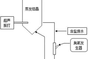 高盐有机废水蒸发结晶同步去除有机物的纯化制盐系统及方法