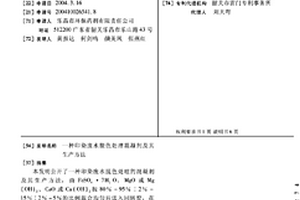 印染废水脱色处理混凝剂及其生产方法