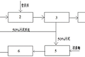 剩余污泥零排放的制药废水处理系统