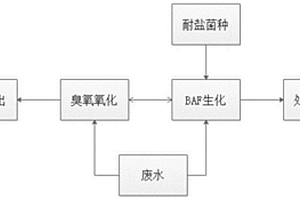 新型顺酐废水深度处理系统及其工艺