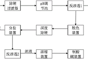 石化高盐废水资源化利用装置