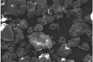 大豆蛋白微球材料与制备方法及其在处理含重金属离子废水中的应用