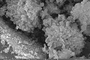 矿山含砷废水除砷膜添加粉末的改性方法