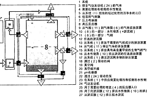 在压力下纯化水性有机物、废物和/或废水的系统和方法以及制备生物气的方法