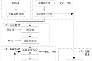 石化行业循环排污水及RO浓水的处理系统及废水处理工艺