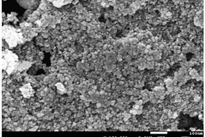 活化过硫酸盐深度处理焦化废水的CoFe<sub>2</sub>O<sub>4</sub>/氮掺杂污泥基活性炭催化剂及制备方法