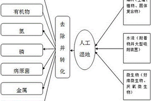 废水的人工湿地净化方法