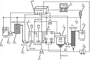 电解催化氧化-A2/O-BAF废水处理实时控制装置