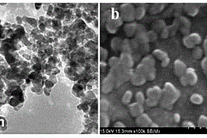 壳聚糖改性的纳米TiO<Sub>2</Sub>光催化超滤膜在有机废水处理中的应用