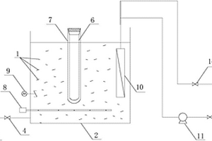 芬顿-光催化膜反应器废水处理装置