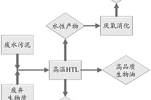 用于生物气和生物油的共同生产的废水污泥和木质纤维素生物质的水热液化协同处理