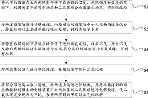 利用微藻处理废水并生产类胡萝卜素、气体燃料和有机肥的方法