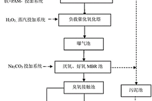 蒽醌类染料生产废水的预处理系统