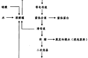 低物耗少废水的谷氨酸提取新工艺