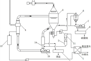 用于高盐废水中硫酸钠的回收处理系统