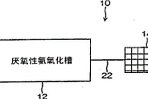 菌体回收方法、装置及驯化方法以及废水处理装置