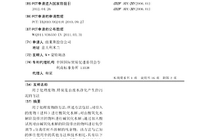 用于处理废物、特别是由废水净化产生的污泥的方法