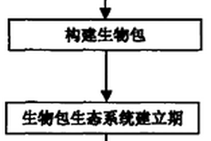 河道雨污排放口生物包治理方法