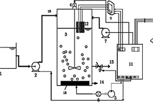 磁活性污泥反应器装置及其实现短程脱氮的方法