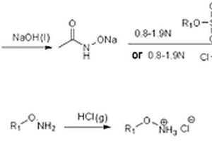 一锅法制备O-烷基羟胺盐酸盐和N,O-二烷基羟胺盐酸盐的方法