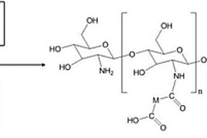 酰胺酸功能化壳聚糖吸附材料及其制备方法和用途