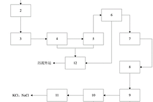 垃圾焚烧飞灰洗水资源化处理系统