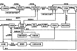 微藻培养耦合生物柴油炼制的生产方法