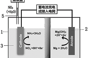 将硝酸盐废水转化为氨的电池系统