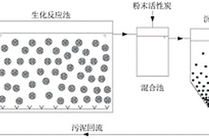 利用载体流态化生物膜反应器处理废水的方法