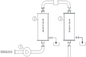 含氮浓盐废水处理装置