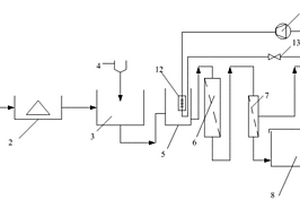 维生素B2发酵过程废水的处理装置