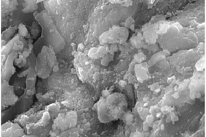 磁性壳聚糖/生物炭复合材料去除废水中五价砷的方法