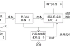 焦化废水处理装置