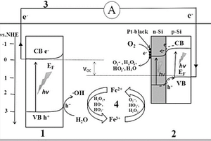 强化自由基反应的光催化废水燃料电池及制备方法和应用