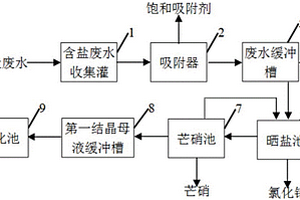 煤化工浓盐废水的净化处理和纯盐回收工艺