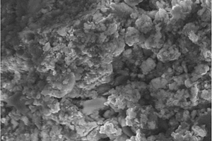 壳聚糖/腐植酸修饰的磁性吸附剂去除废水中铅的方法