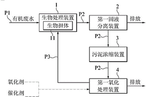 废水生物处理系统