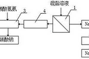 含盐废水的零排放处理系统及其处理方法