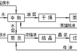 胺盐废水的处理工艺