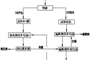 高含盐废水分盐资源化工艺及系统